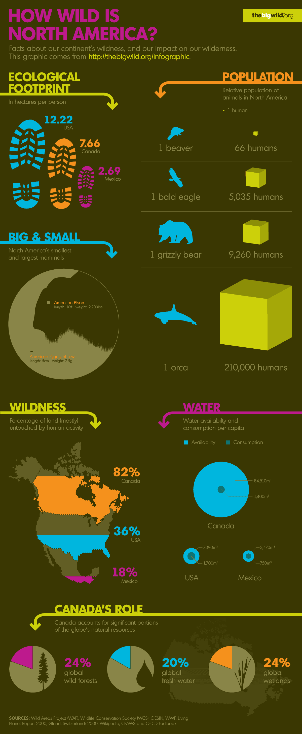 How Wild is North America