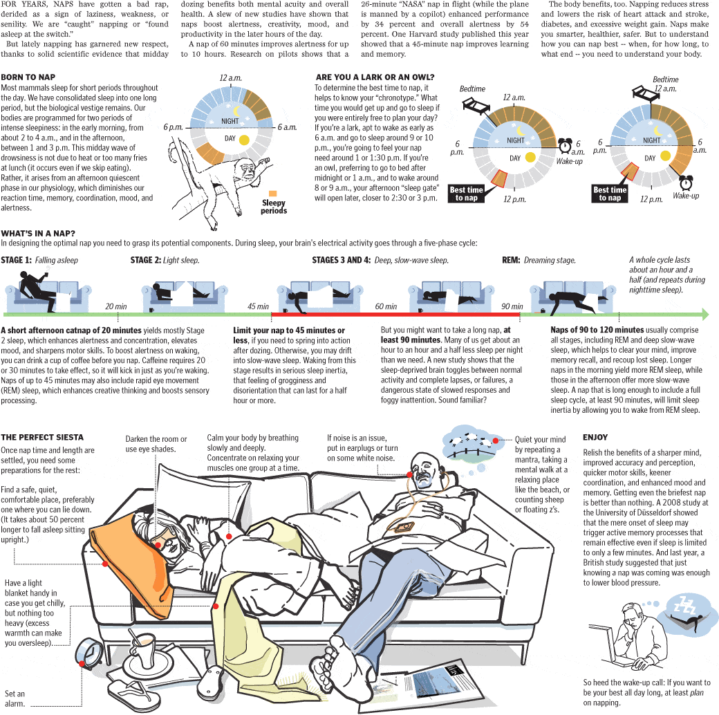 Napping Infographic