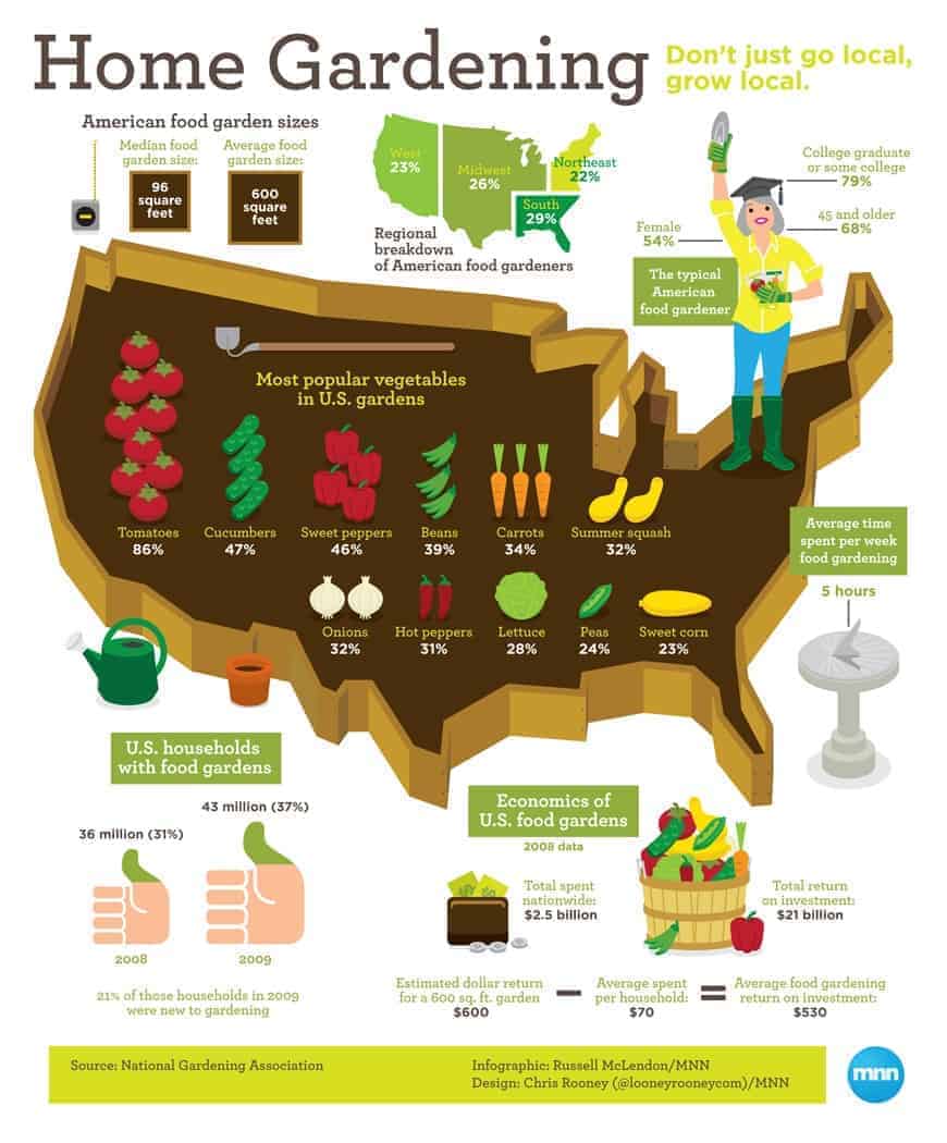 Home gardening infographic