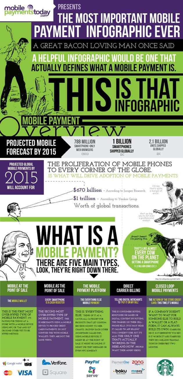 Most Important Mobile Payment Infographic