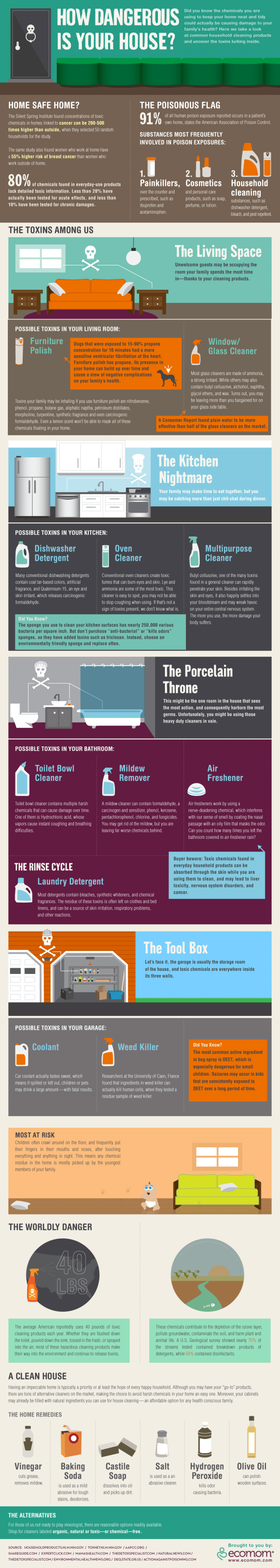 How dangerous is your house infographic