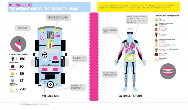 Burning Fuel The Average Car vs. The Average Human