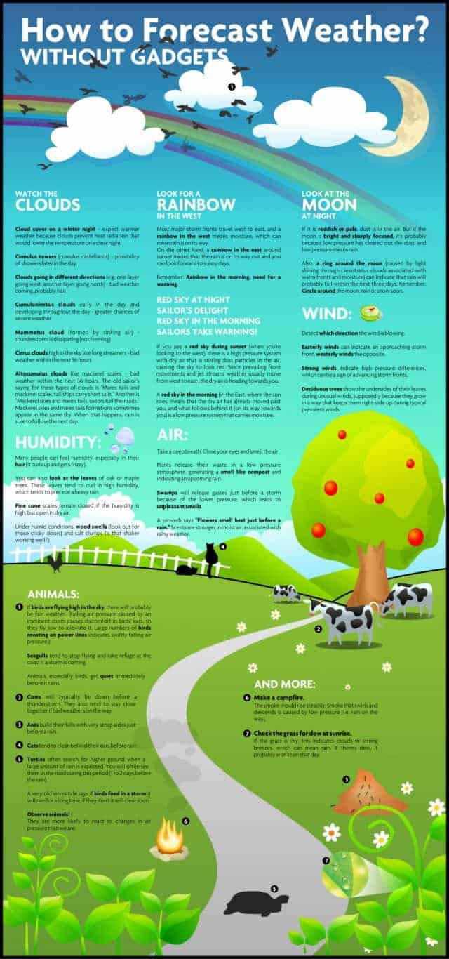 How to Forecast Weather Without Gadgets Infographic