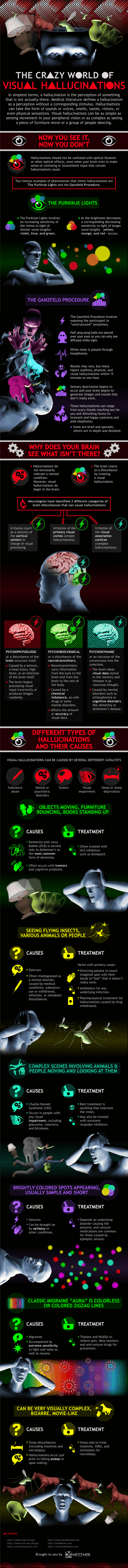 Crazy World of Visual Hallucinations