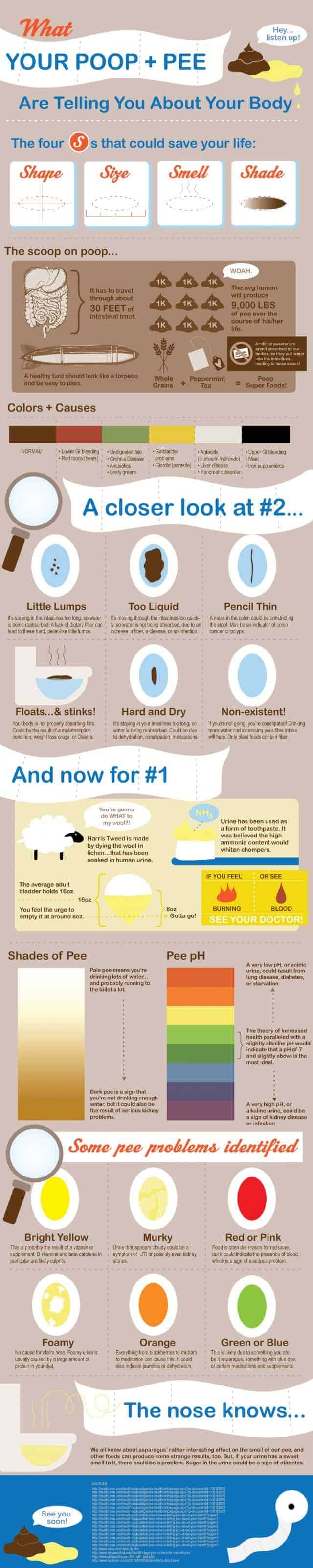 factors to check about human waste and health implications