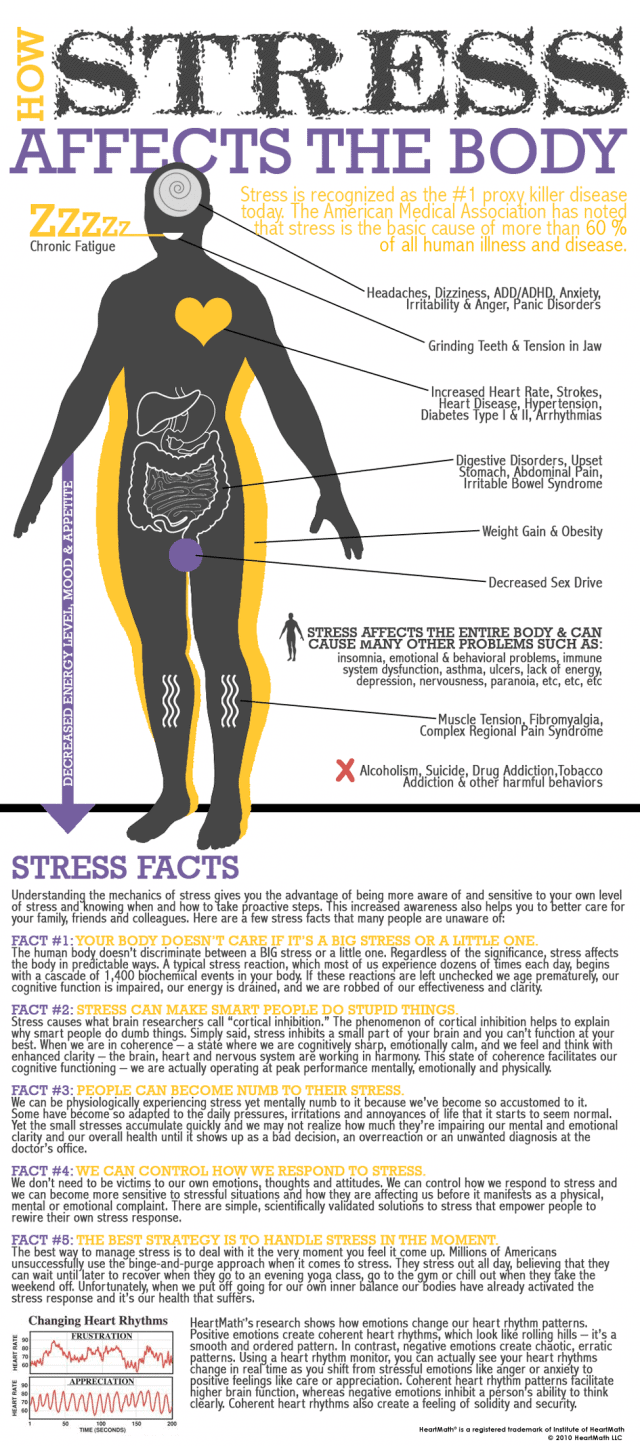 How Stress Affects the Body