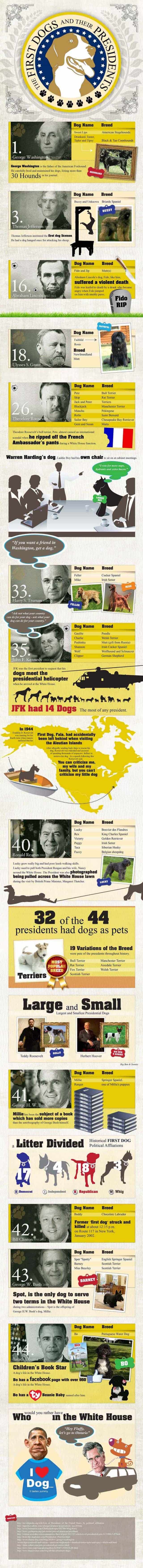 Dogs of the presidents Infographic