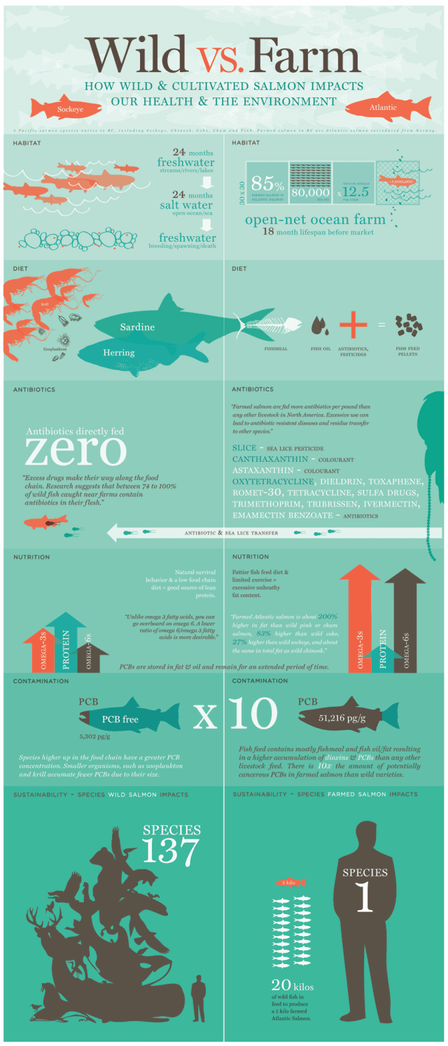 Salmon Wild vs. Farm