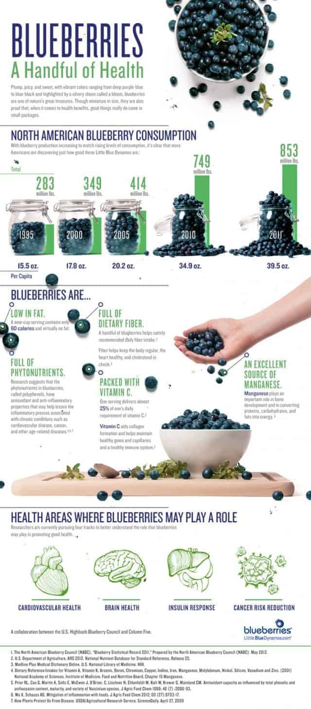 Blueberries A Handful of Health