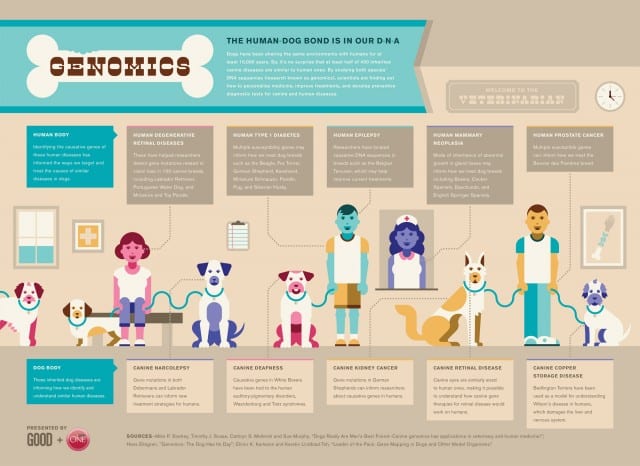 Genomics of Humans and Dogs