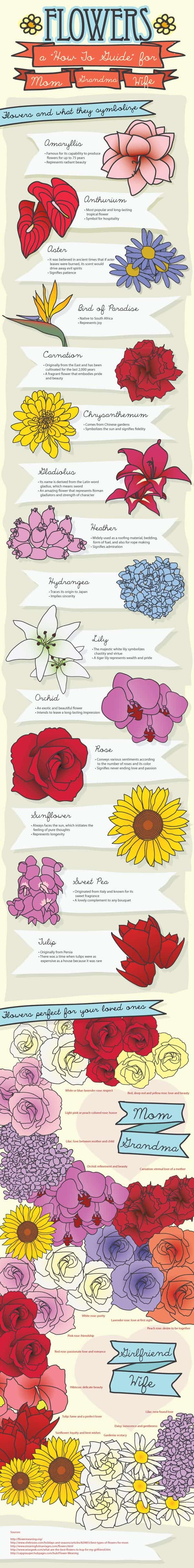 Flowers and What They Symbolize