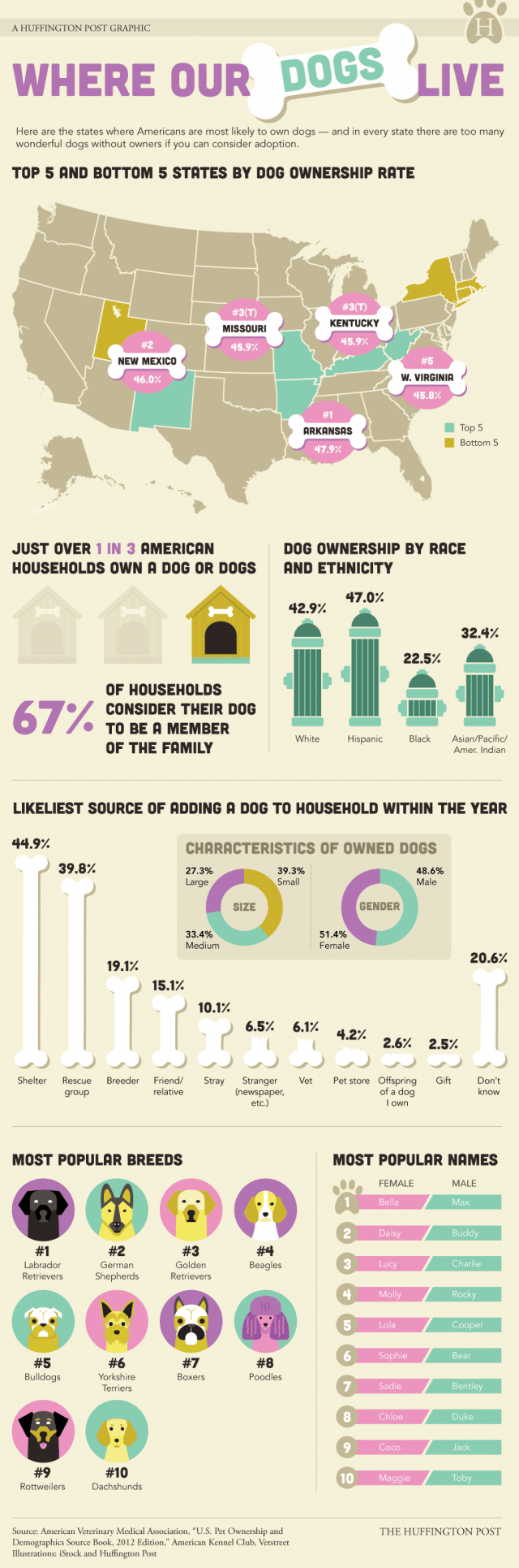 Where Our Dog Live