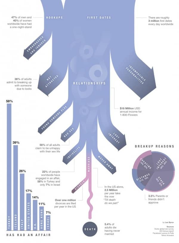 Breakup Reasons Infographic