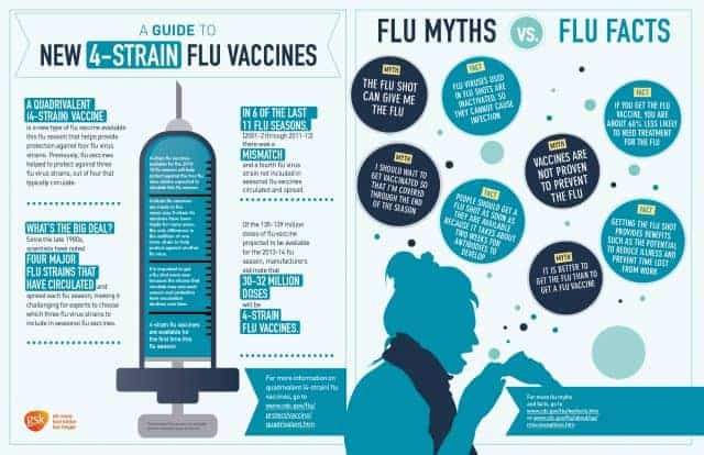 Flu Guide Infographic