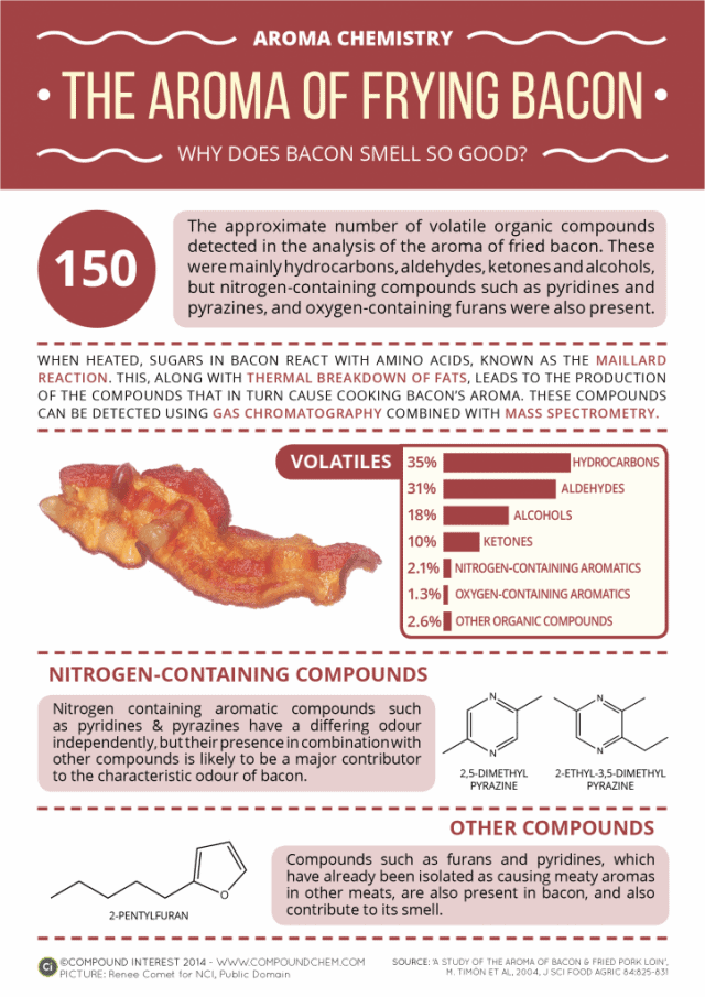 Aroma Of Frying Bacon Infographic