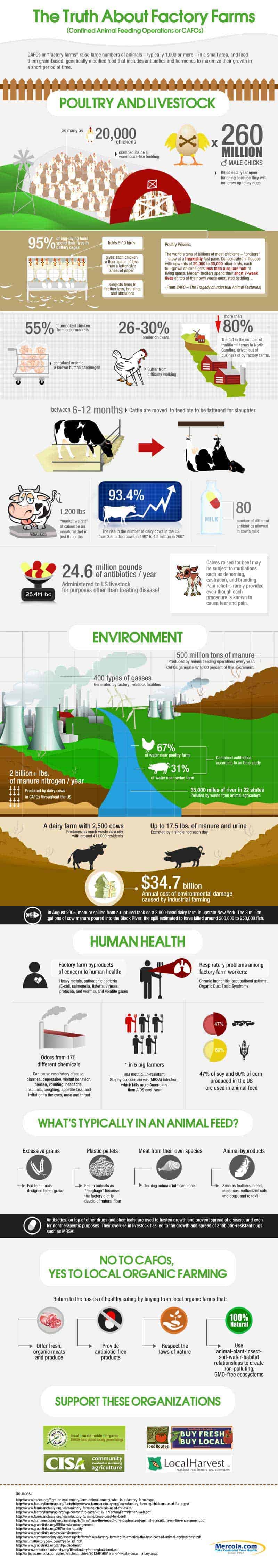 Truth About Factory Farms