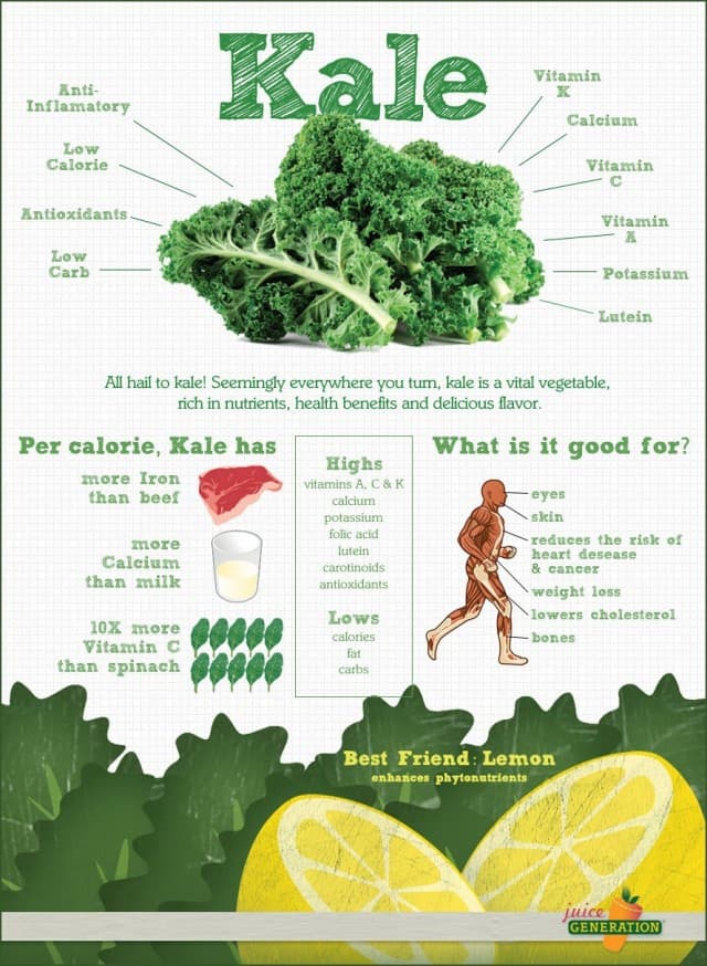 Kale Infographic