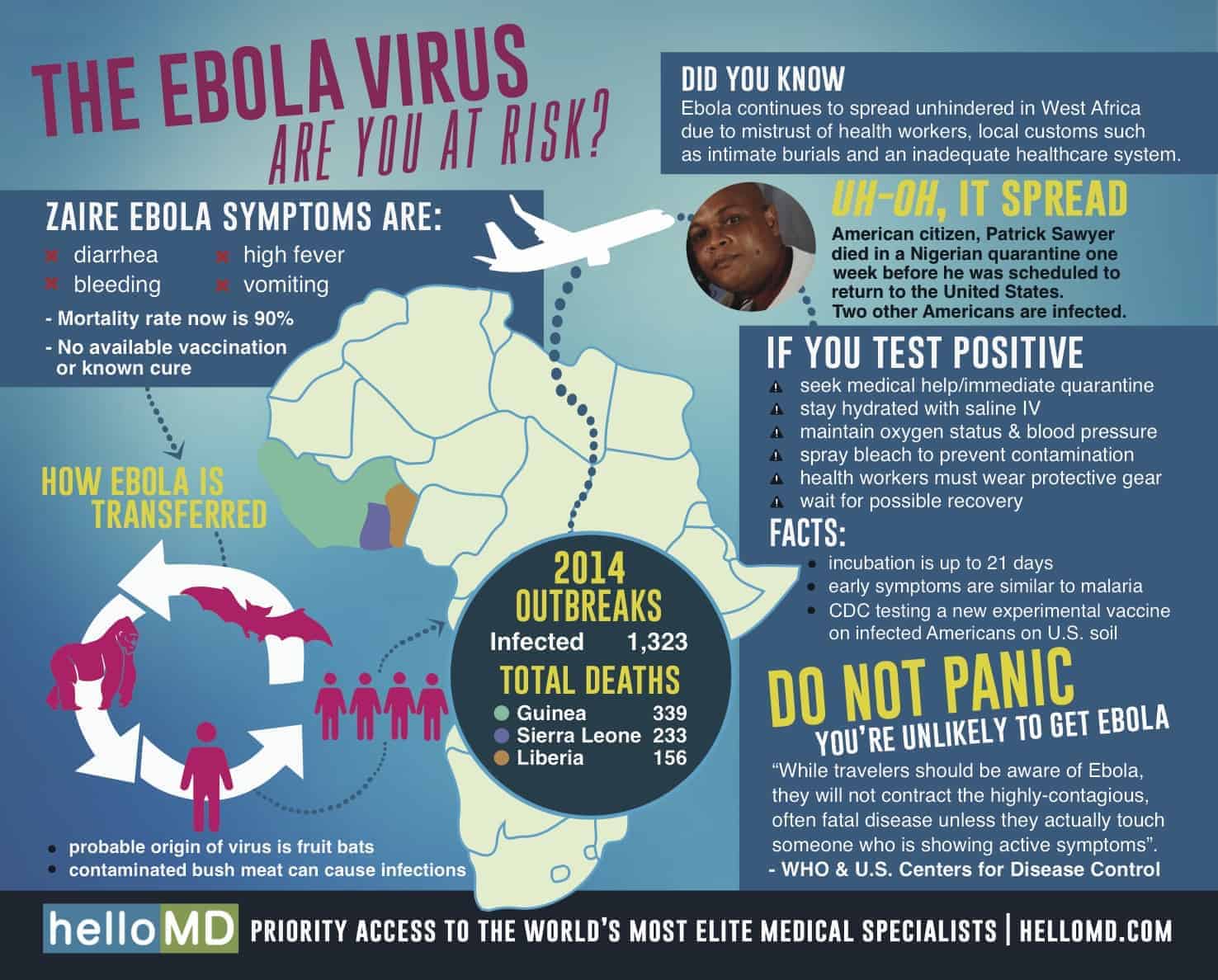 Ebola Virus Infographic