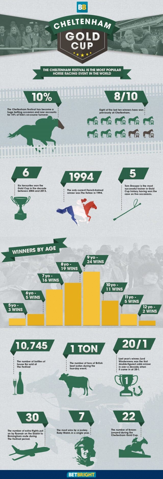 Cheltenham Gold Cup Infographic