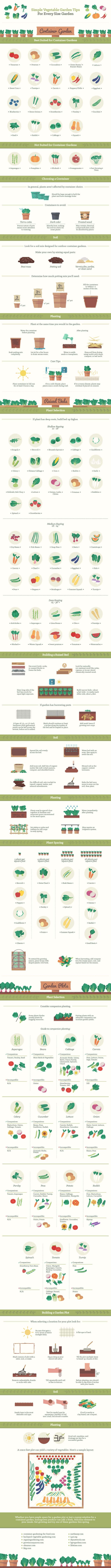 Simple Vegetable Garden Tips Infographic