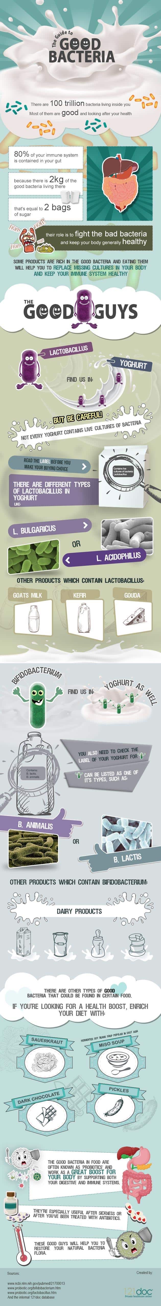 Guide To Good Bacteria Infographic