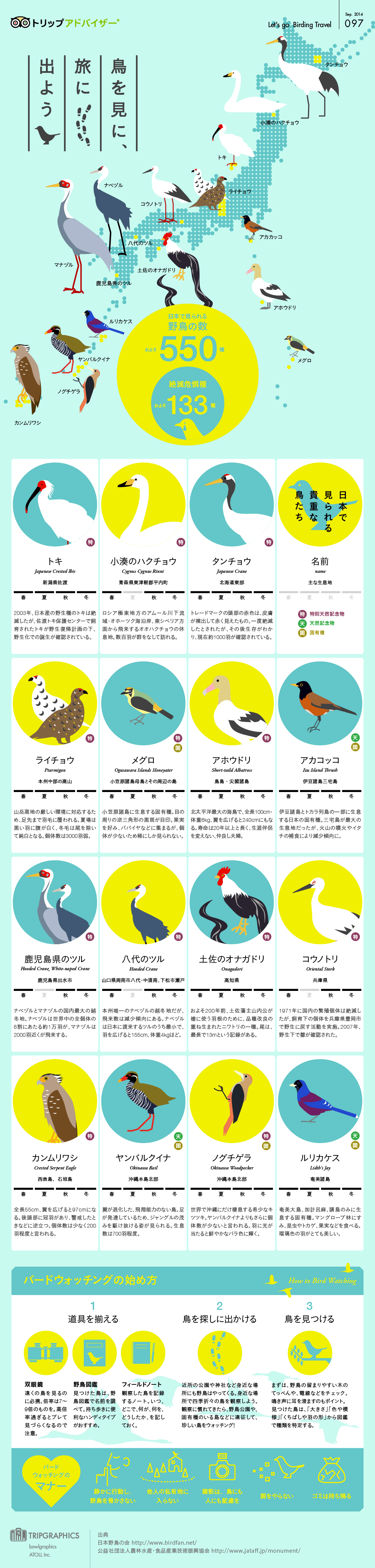 Japan birds infographic