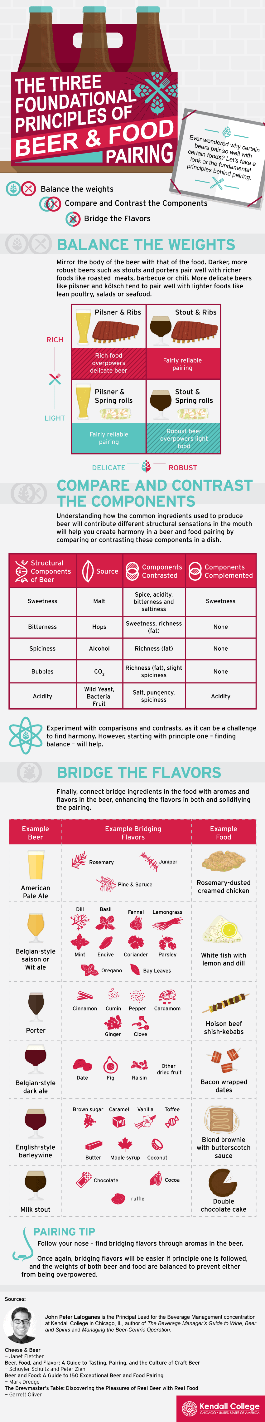 Principles of Beer and Food Pairing Infographic