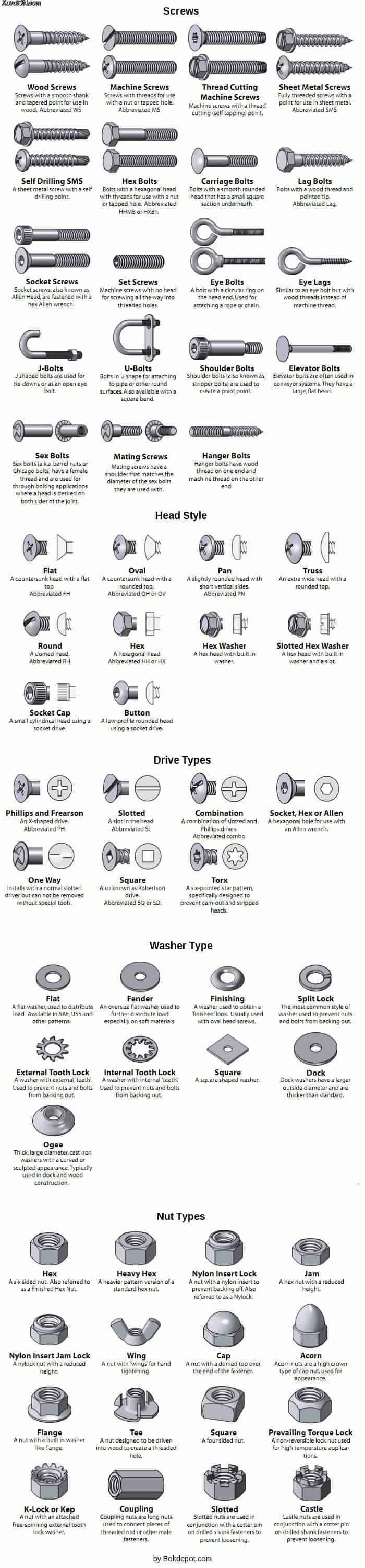 Types of Screws and Bolts Guide Infographic