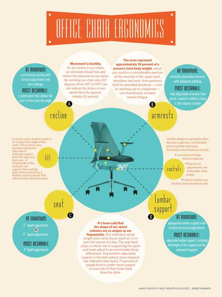 Office Chair Ergonomics Infographic