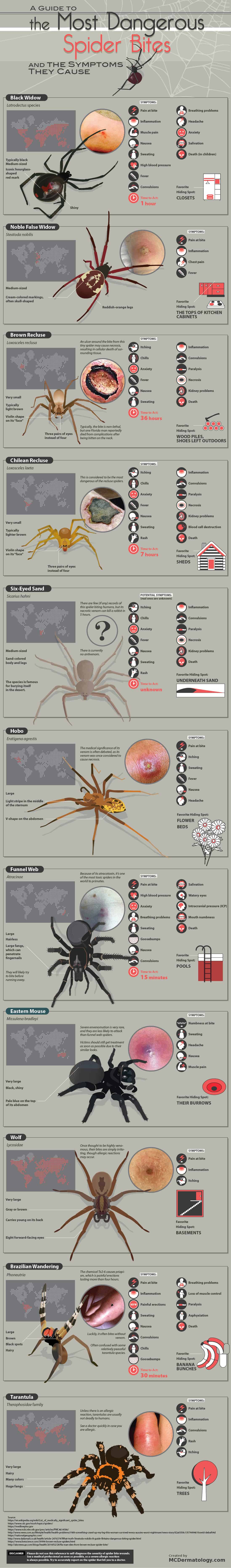 Venomous spiders around the world