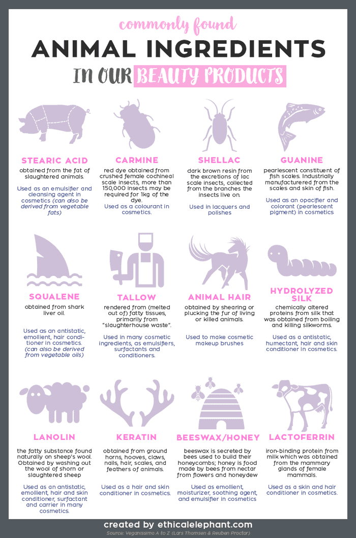 Animal Ingredients in our Beauty Products