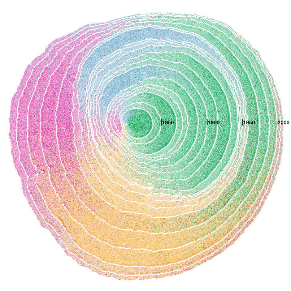 tree rings and immigration