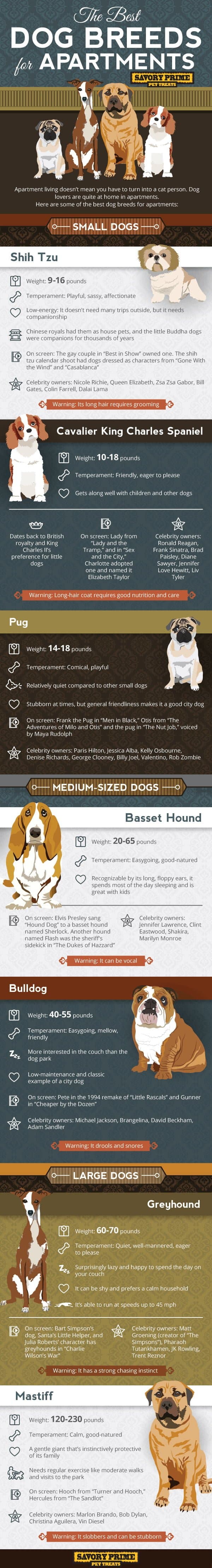 Best Dog Breeds for Apartments