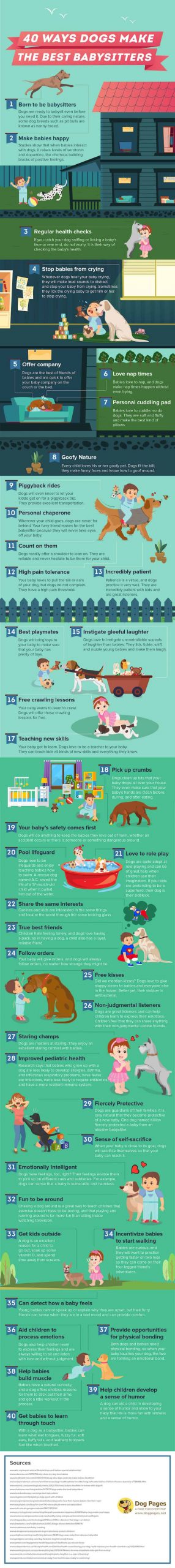 ways dogs accompany babies