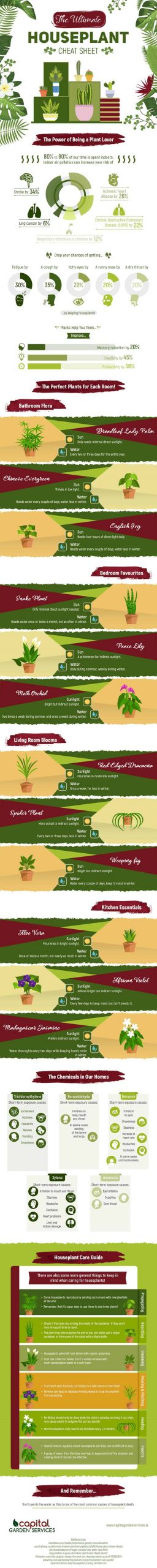 a list of types of houseplants, their benefits, and how to take care of them