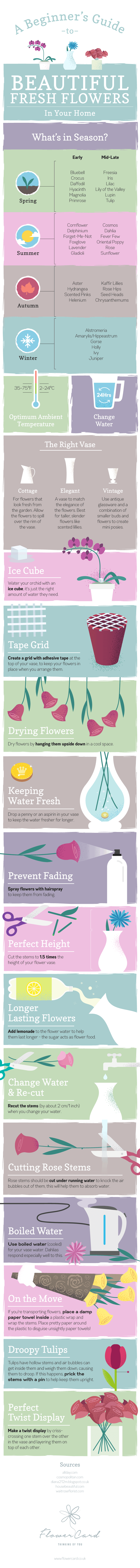 Tips on how to keep flowers in your home