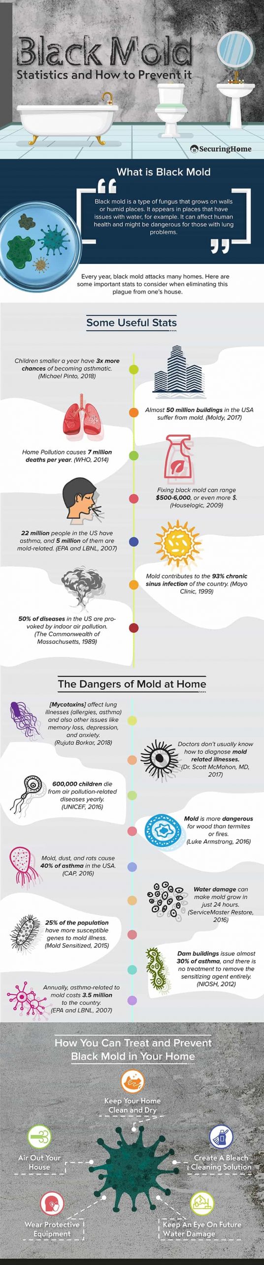 Black Mold Statistics and How to Prevent It