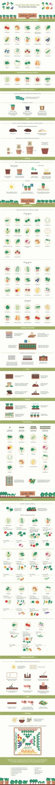 tips on how to grow different kinds of vegetables in gardens