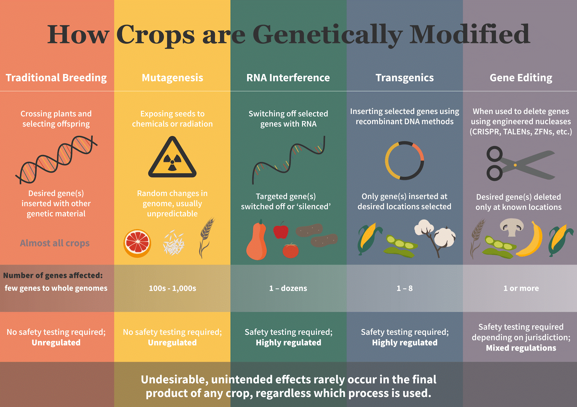 GMO