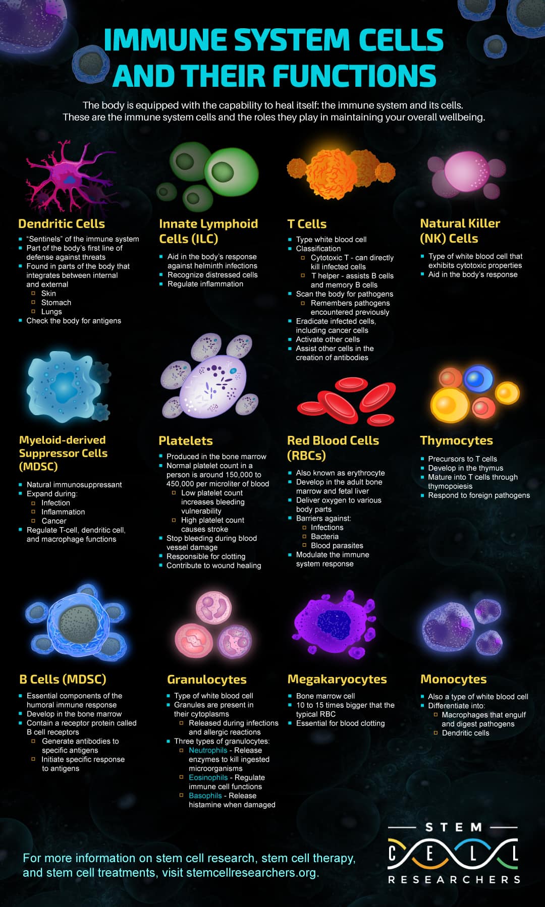 Immune cells