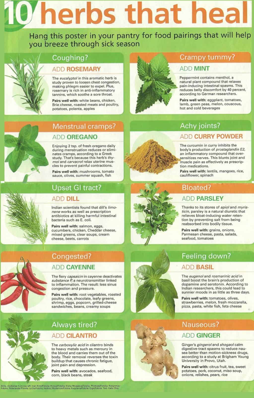 Herbs that heal