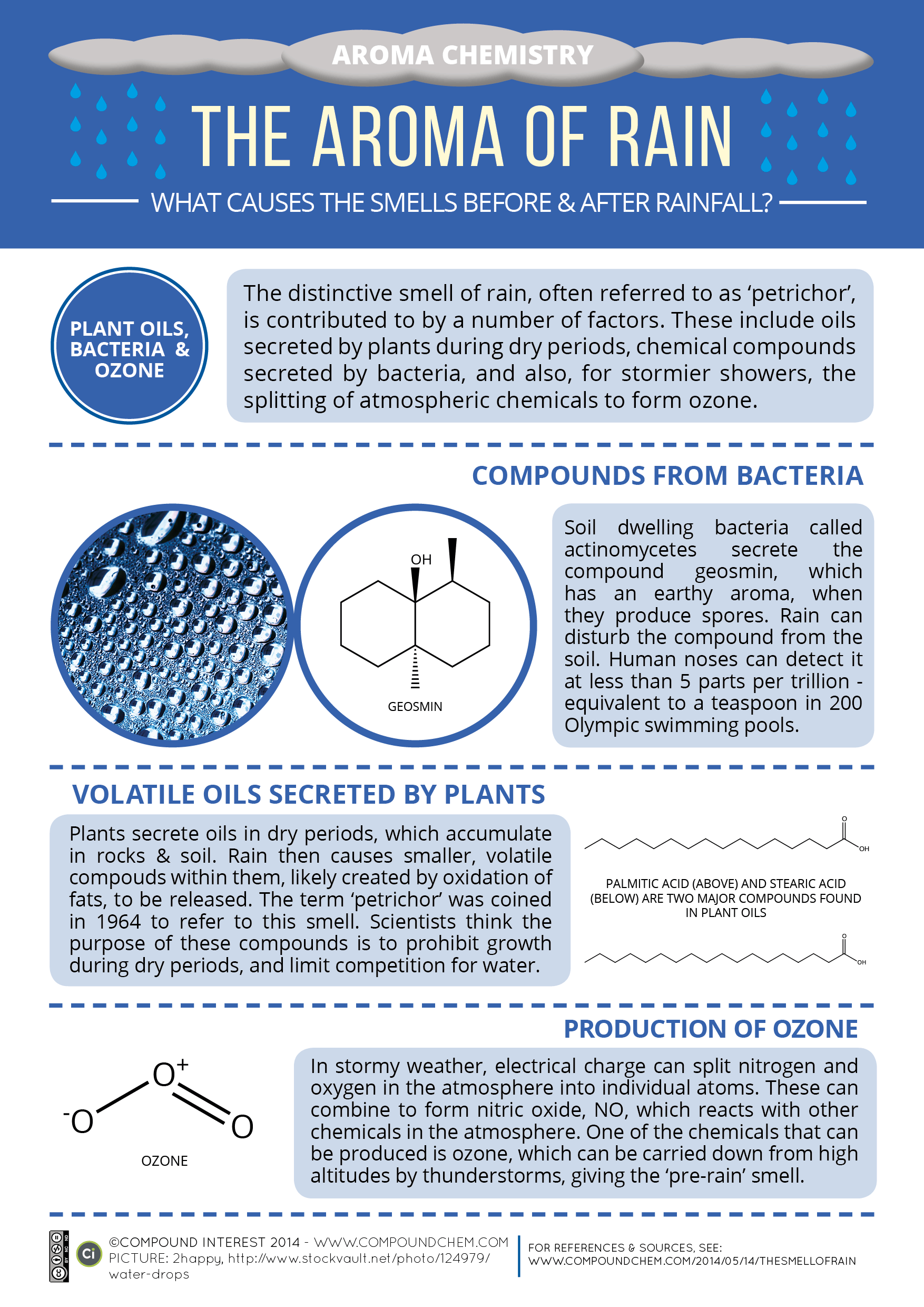 The Science Behind the Smell of Rain