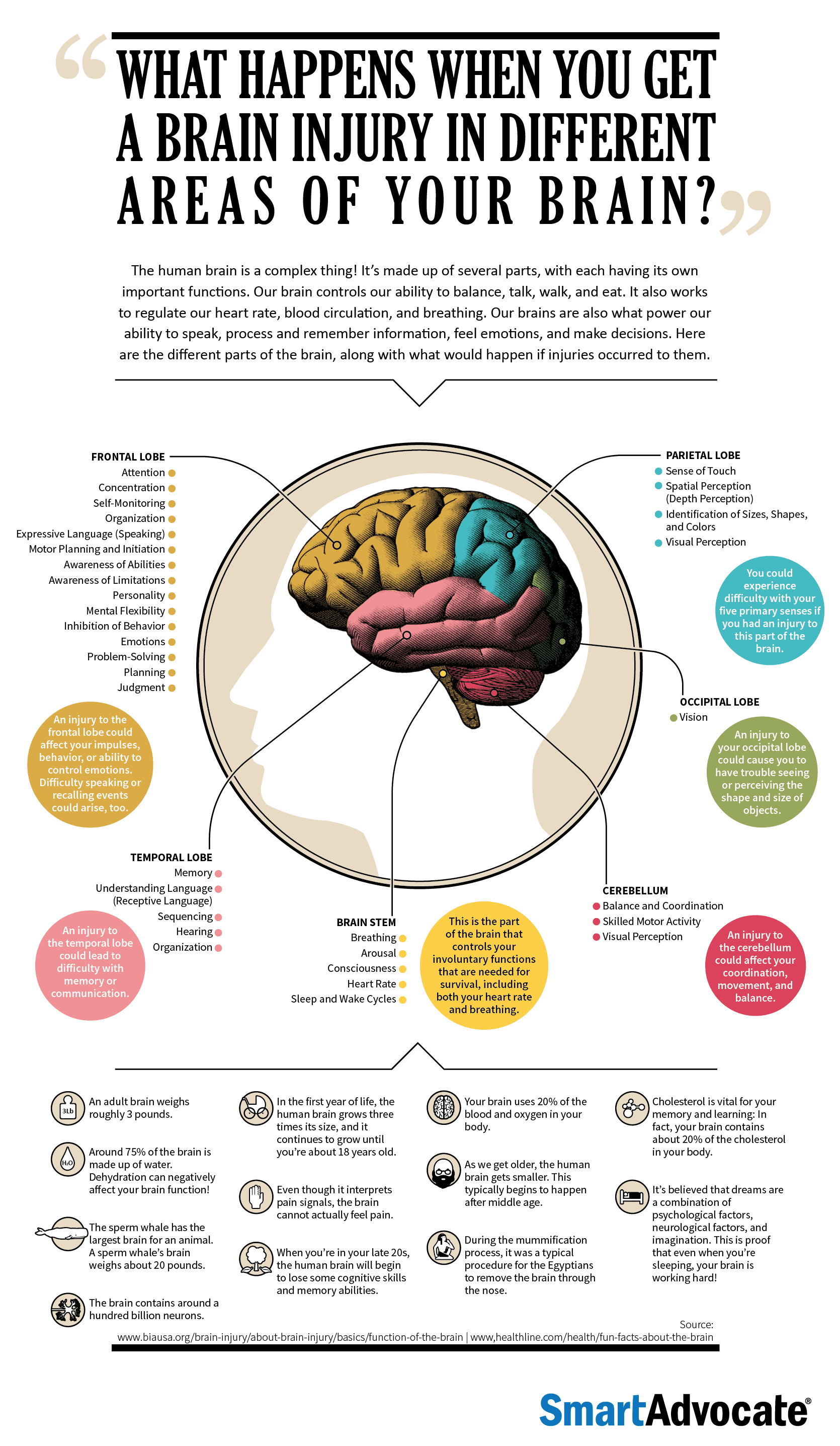 Brain Injuries