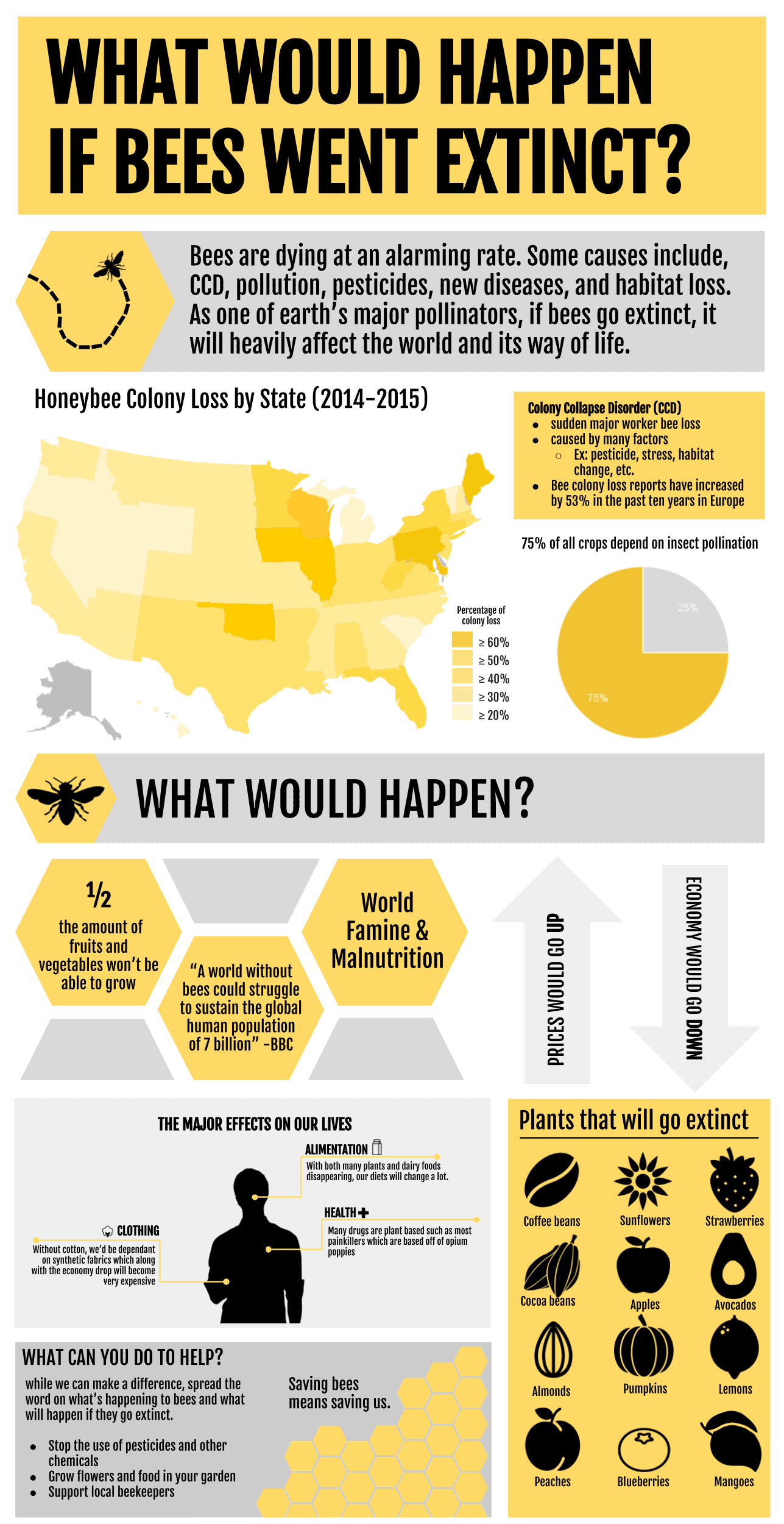 Key facts to consider if bees went extint