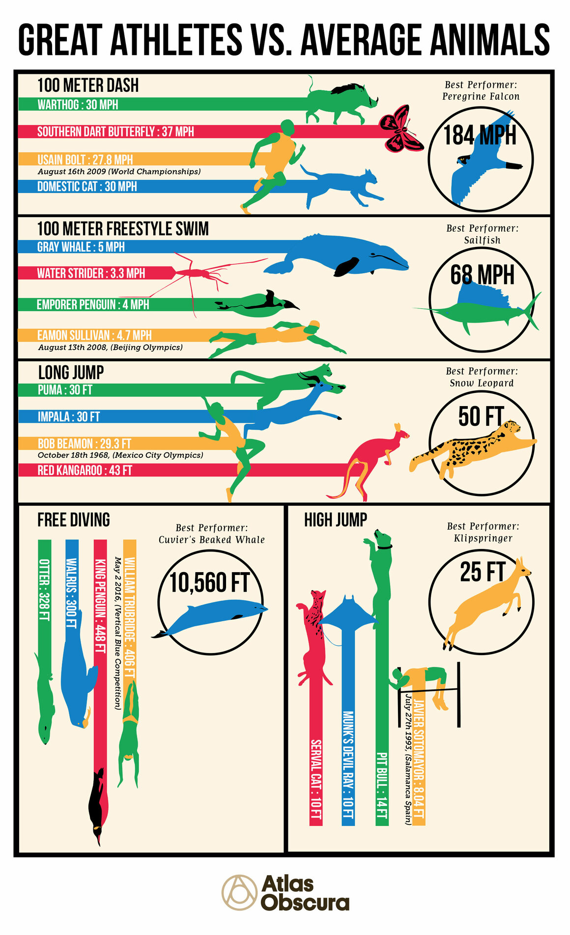 Humans vs animals speed